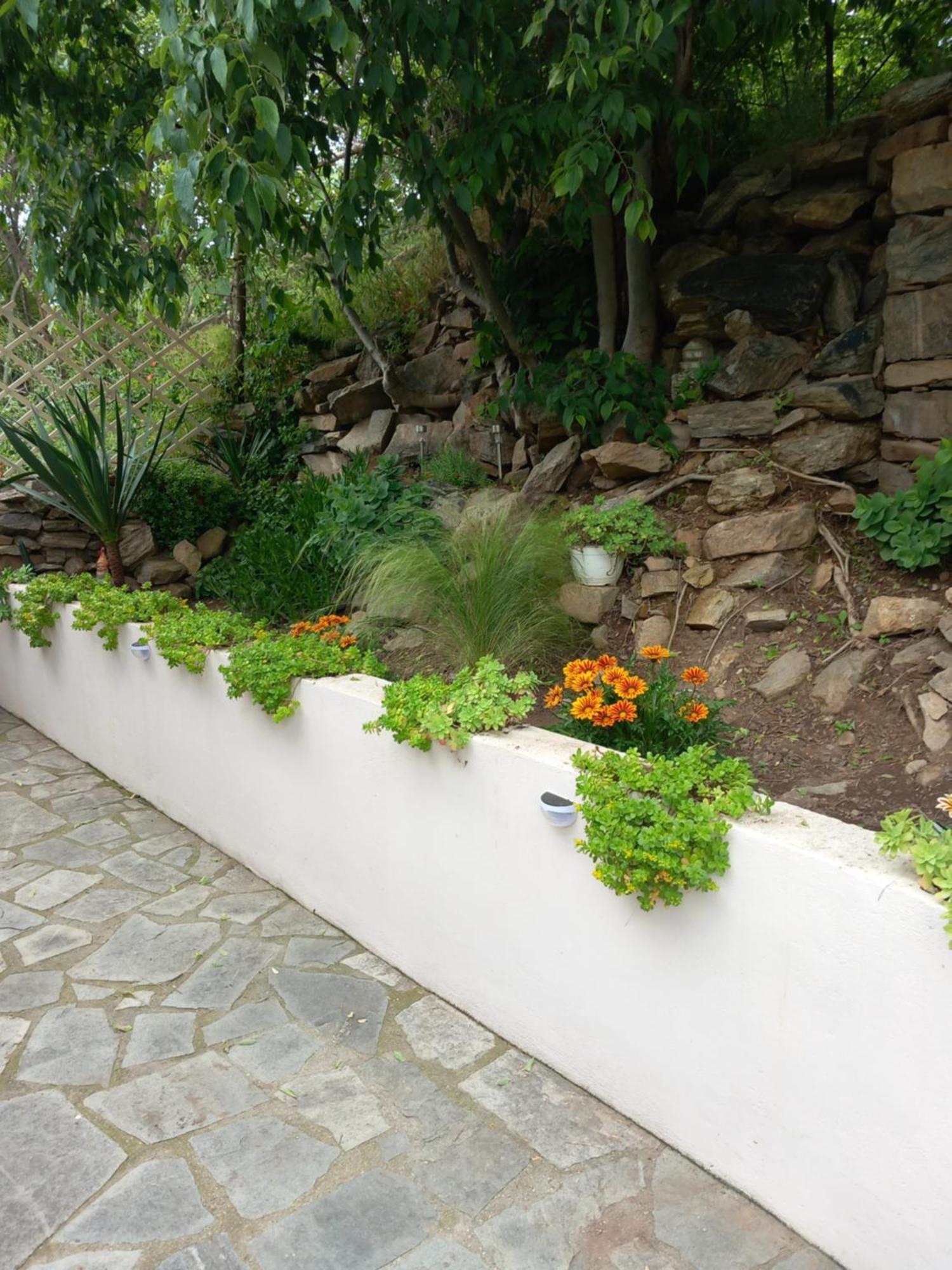 Green Meadow Elevtherai Exterior foto